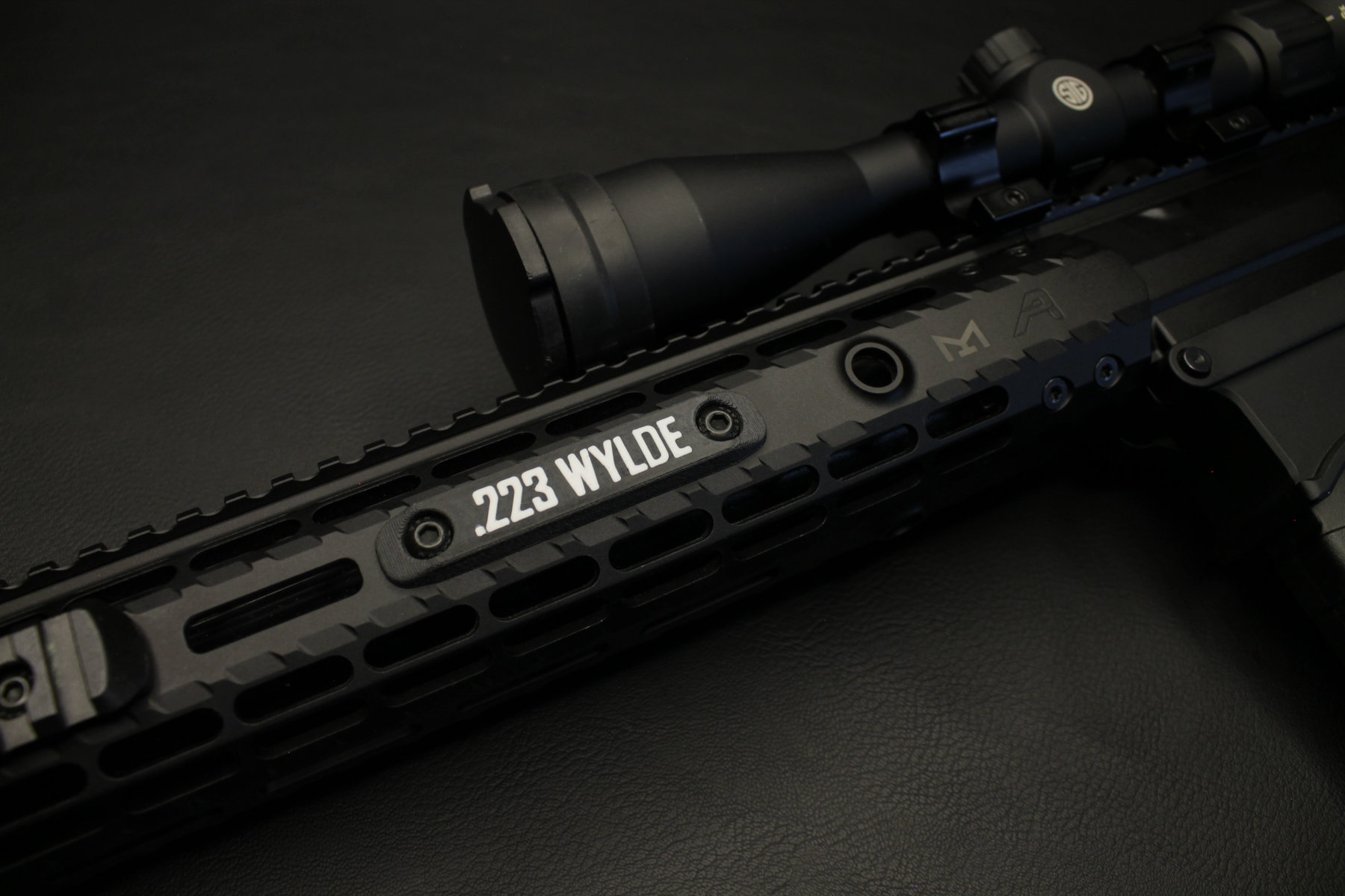 .223 Wylde Silver_result